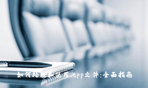如何处理和使用.tpp文件：全面指南