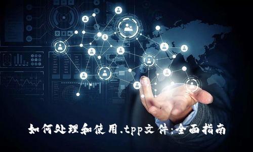 如何处理和使用.tpp文件：全面指南