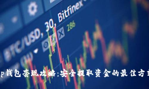 tp钱包套现攻略：安全提取资金的最佳方式