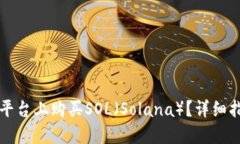 如何在TP平台上购买SOL（Solana）？详细指南与技巧