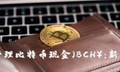 如何使用TP钱包管理比特币现金（BCH）：新手指南