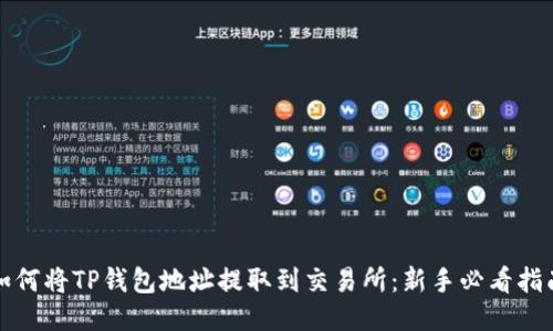如何将TP钱包地址提取到交易所：新手必看指南