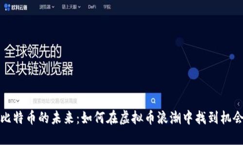 比特币的未来：如何在虚拟币浪潮中找到机会
